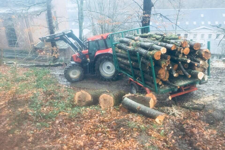 Forstarbeiten